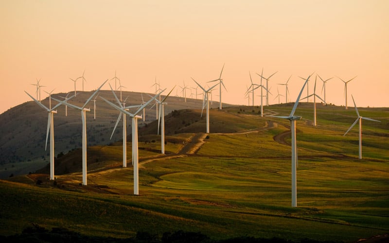 A wide show of wind turbines on a hilly landscape